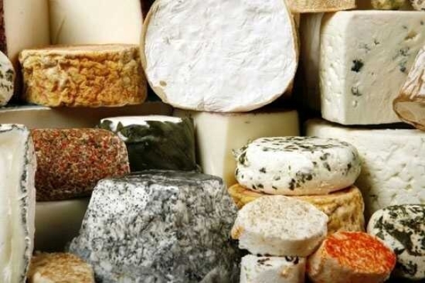 В Германии начали производить сыр с добавлением живых клещей